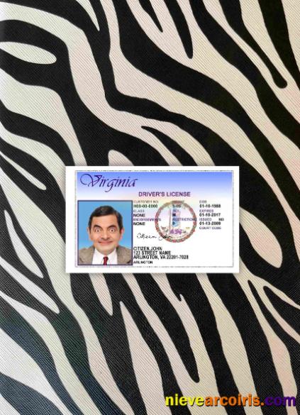 USA Virgina driving license version 2 photolook